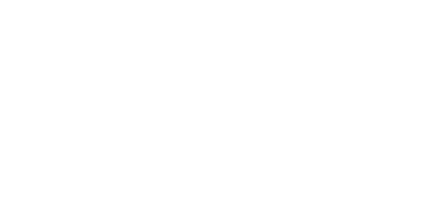 Erasmus Middle East Investments logo
